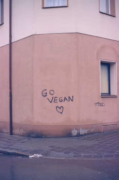 Item #19047465306348406328052946929912195757784047878238389409385033418821628592129 Media