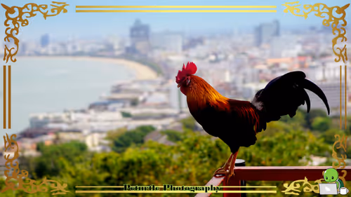 Item #63688176006920298669738405398310368792609774011425620877012058013242797064193 Media