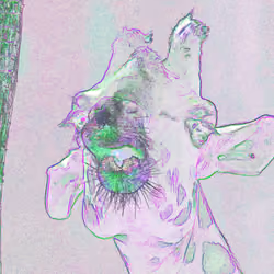 Giraffe in Green & Purple