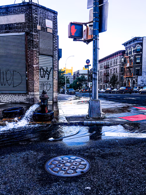 Item #16768181571215802007889634249989379388741086937643732154167236057735744192513 Media