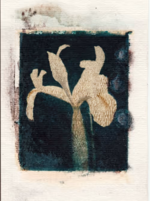 Item #28642289610413535734296160925975093096558758870368473952224142147939182051329 Media