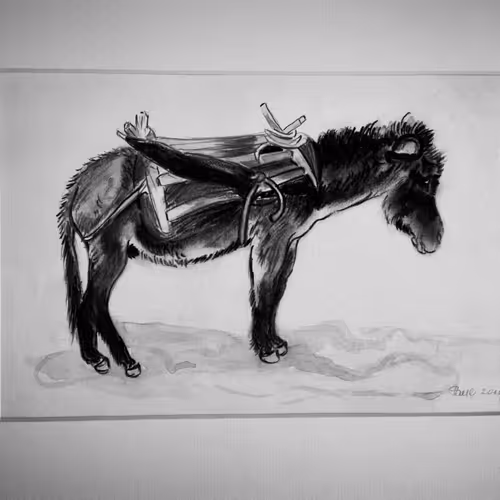The donkey