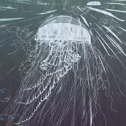 113233535435930126246803406212525192330824104616936385021501681239695432876033