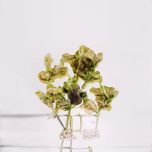 Item #72191770546992921943267033160474518012437629238460681668476305525042019565569 Media