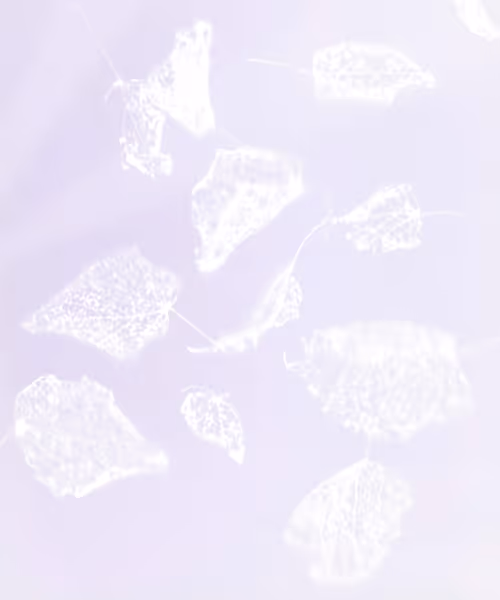 Item #66412083877775050052255921183624814536266007620308041883263231600447404900353 Media