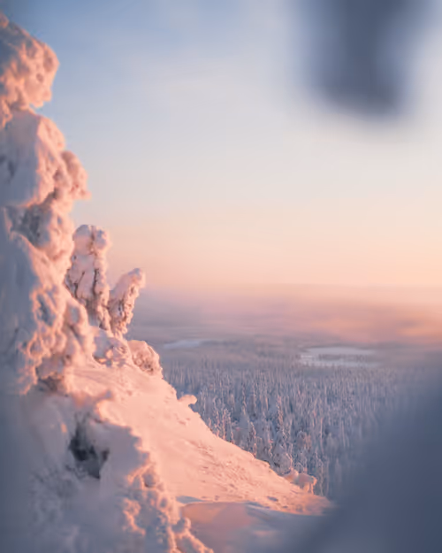 Item #85137439897558800446681939847979956921112818192745958846838338947964341321729 Media