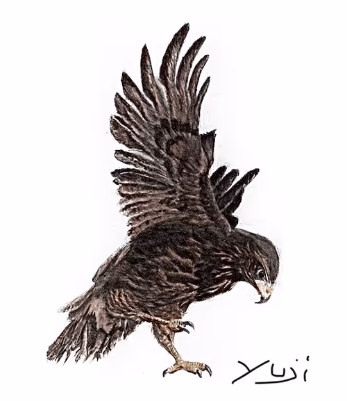 Item #1133159253668487700134162149784362740938794167177105530719148780135764721665 Media