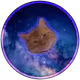 85020365373033663859981455527715873051296616453289632305606137979917029081089