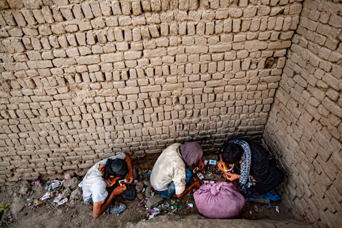 Item #5606426941725502535038272761259107725542531596447892324367451108954318307329 Media