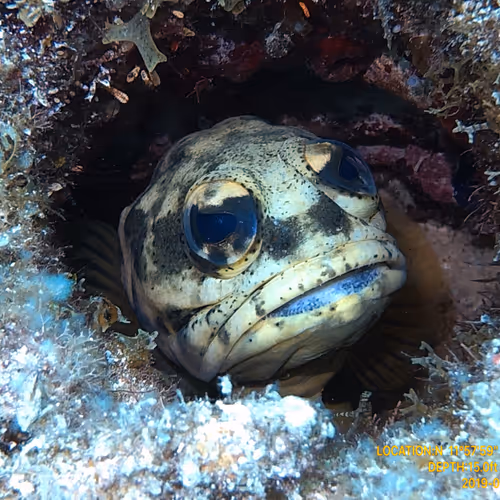 80965803268169370603932631570667161375508893671094224909166964287641132990465