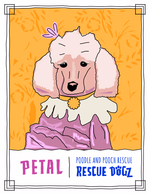 Item #30690731946652718087334591486962028713730520455891869769803774216377324273665 Media