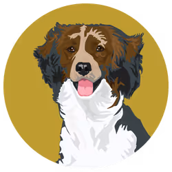 54766349128176429303044182404049584425310907481653304317570414044182030057473