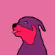 56899573993070087852143229916759048677636958233089565431557172992184852414465