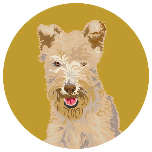 Item #54766349128176429303044182404049584425310907481653304317570414048580076568577 Media