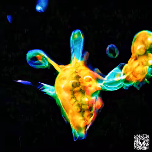 Item #111777919528963143220040478423315994690724677359972579189748116150311486226433 Media