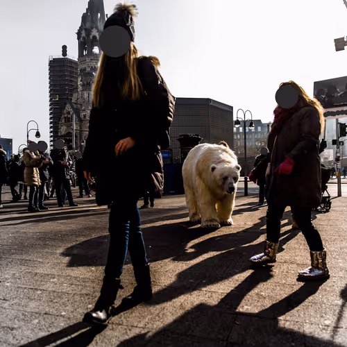 A Bear In Berlin