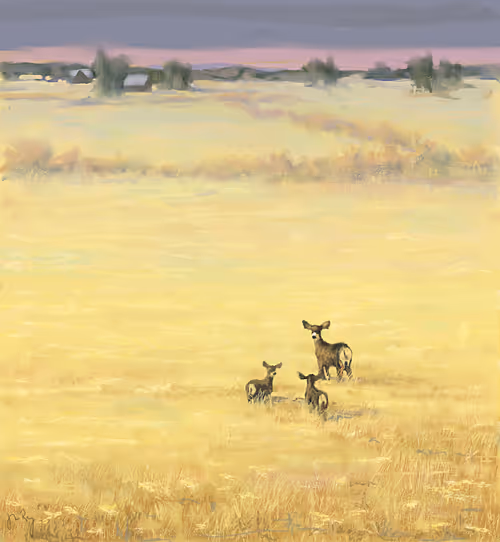 Item #2718211631602966409016842612386070734440370123177458684643300794858620321793 Media