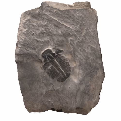 34714267325858272890442758987290409023117855579296428399974258679184286023681