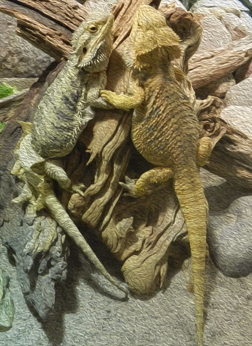 Item #95619151568614802974454947629602672965769746893472874508208249425284611178497 Media