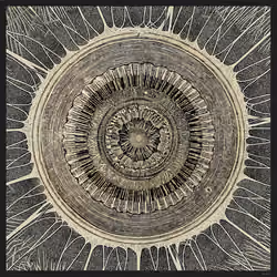 Mandala Animation #01 