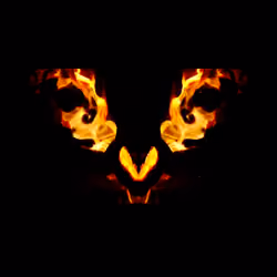 Phoenix #103