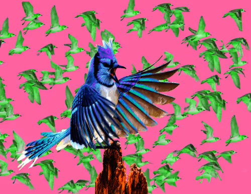 Item #43491420902550312144531220926816905712993913089726861711992935500980288487425 Media