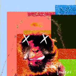 Apes are no laughing #085