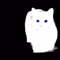 23538819986925566434507765811444276093104658907602947149672917354802556436481