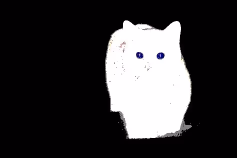 23538819986925566434507765811444276093104658907602947149672917354802556436481