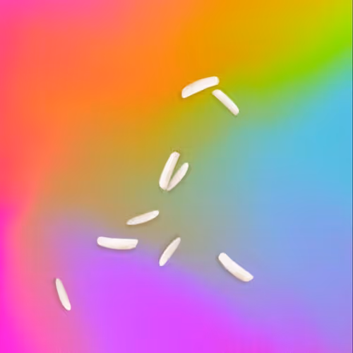 Ricegrains Va669VSJ6A