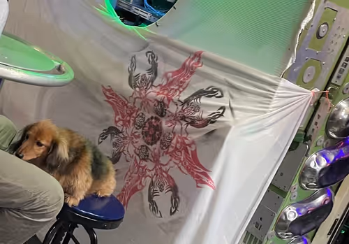 Untitled Collection #64059110