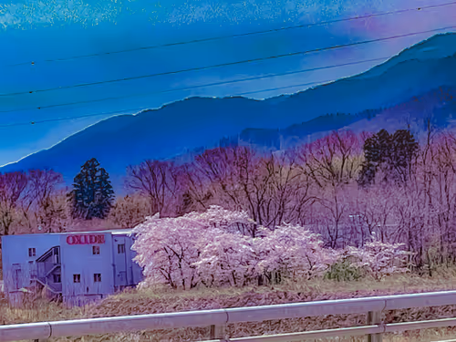 Item #26309083901545567454709889211670292098627789932924015051489478903100331786245 Media