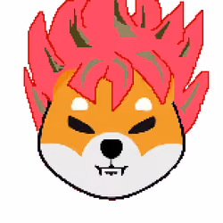 SHIB GOD