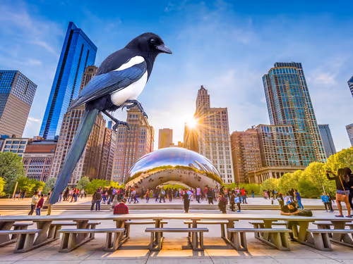 Item #1404736516812143796737347139805797685976196264274011436096350906395127709697 Media