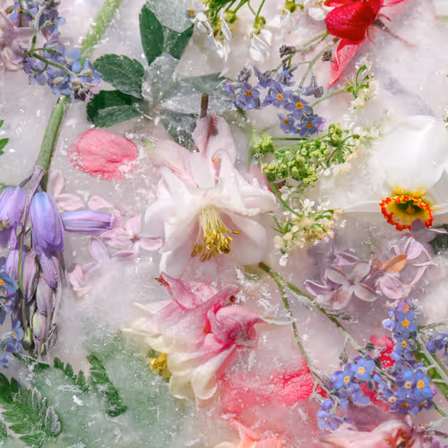 Item #80829721372825377784010953381890255518558028243098186913878117635505199775745 Media