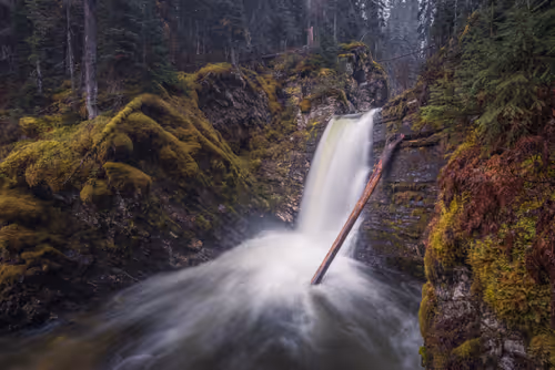 Item #11717075435639617062538583051799023982813876484308334407242089914069369749505 Media