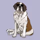 DiggetyDog.021-Saint Bernard