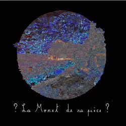 La Monet de sa pièce