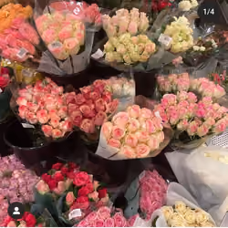 roses.just4u
