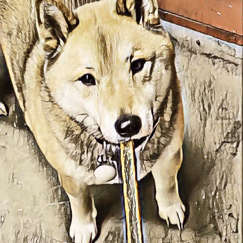 Untitled Collection #55872916