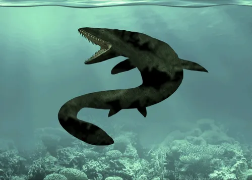 Item #22412305358539205371482020658884093096557011368869543087165207508855656808449 Media