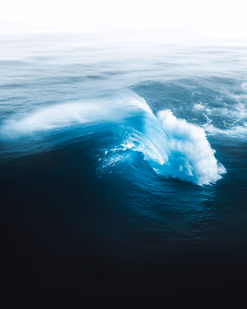 Item #83054766924673444604816267722836446190314772138657067753201581492524239814657 Media