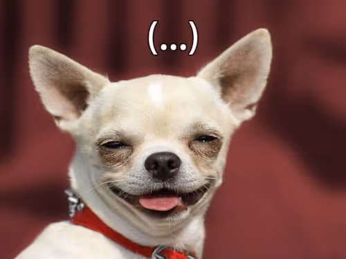 Item #19897855705687673320977355281759280276375967586833961190516884603707469070337 Media