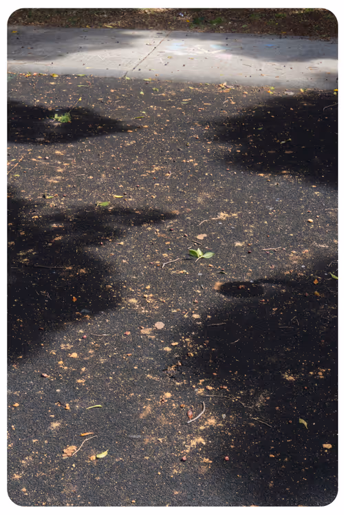 Item #29158143519667306174679199233279327141713317366366149551083667410304030998532 Media