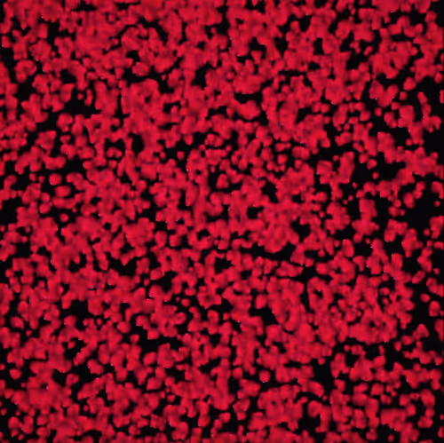 Item #10484220177787847593598212314025342284599195293512380793508438401523881345025 Media