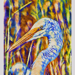 55704534837685659622621715309832868758345944585427688586690141366285831766017