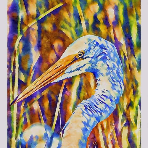 55704534837685659622621715309832868758345944585427688586690141366285831766017