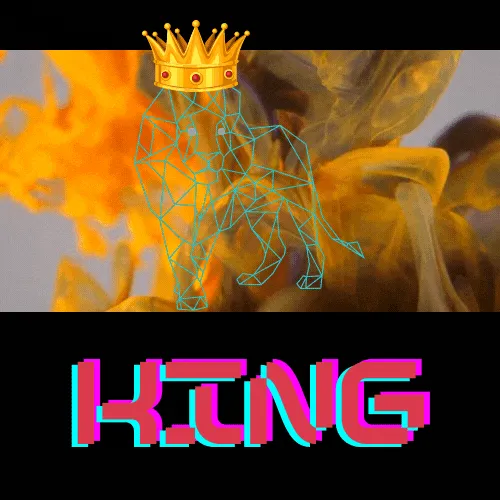 Item #19044701748851004560439459841752698969630956442046292221645770288031778996225 Media