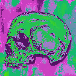Skull #5_27