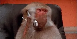 Item #11530525263230858971640940282529209910270819117110863740402251881350388776961 Media